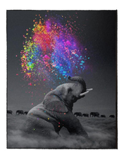 Load image into Gallery viewer, Happy Elephant  - DIY Paint by Numbers
