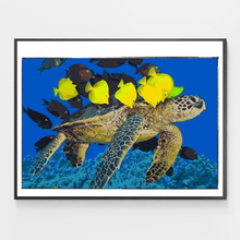 Load image into Gallery viewer, Aquarium - DIY Paint by Numbers
