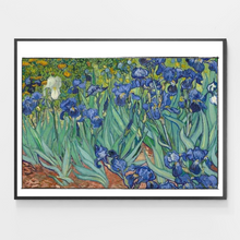 Load image into Gallery viewer, Van Gogh Irises - DIY Paint by Numbers
