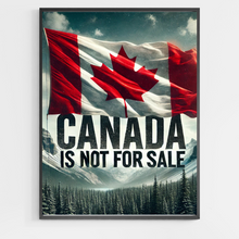 Load image into Gallery viewer, Canada Is Not For Sale - DIY Paint by Numbers
